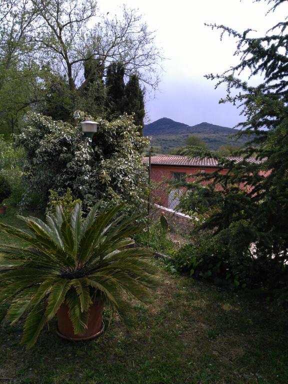 Agriturismo Usurtala Orani ภายนอก รูปภาพ
