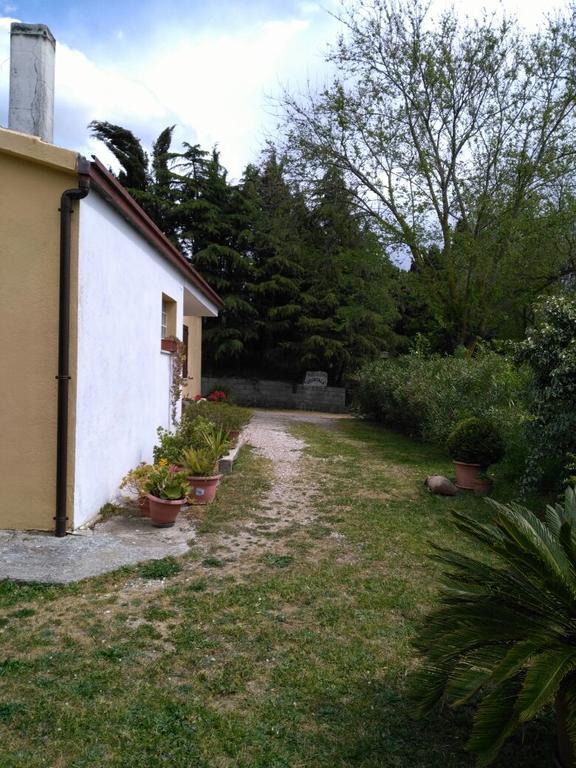 Agriturismo Usurtala Orani ภายนอก รูปภาพ