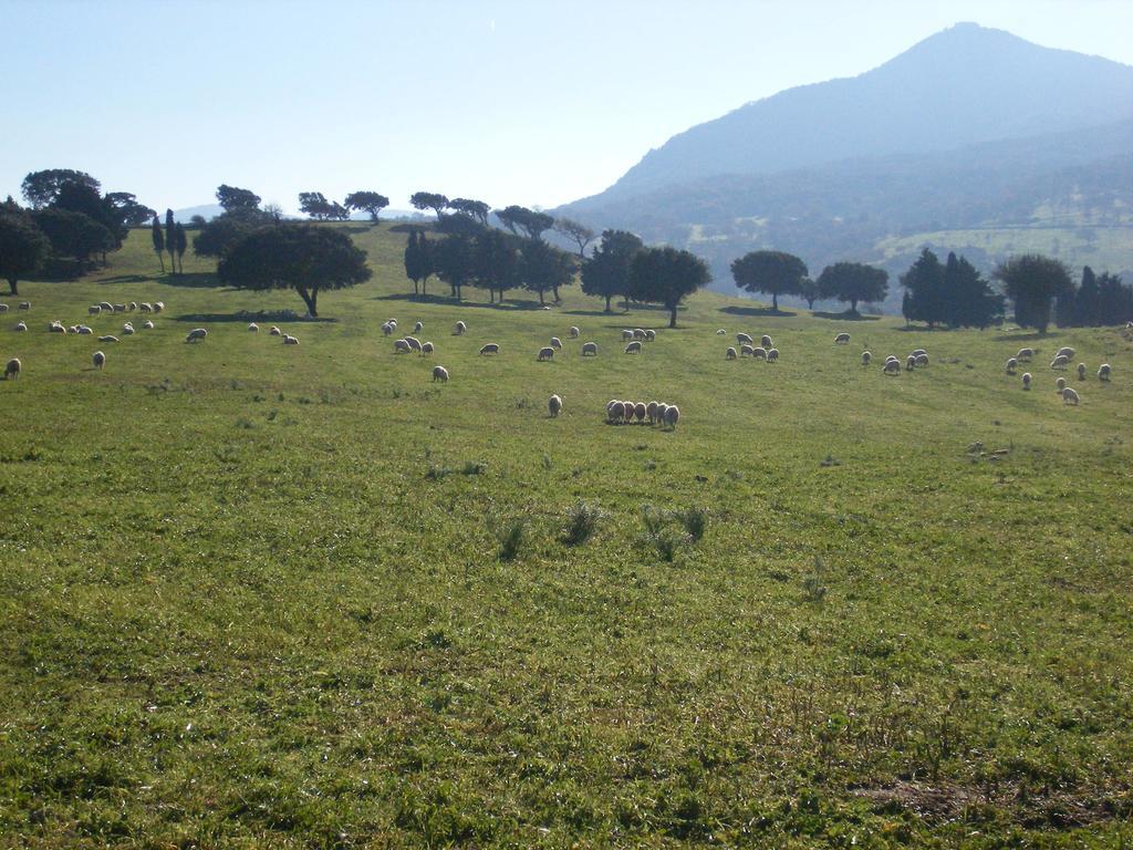 Agriturismo Usurtala Orani ภายนอก รูปภาพ